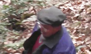 馅饼的蛋糕的美丽的阴的树林里-普雷让青少年